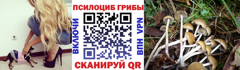 Галлюциногенные грибы Magic Shrooms  гидра зеркало  Макарьев 